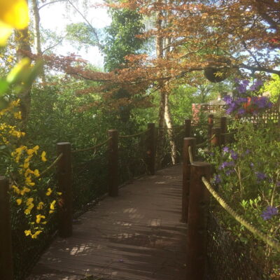 Sarah Abbott Gardens | Julia's House